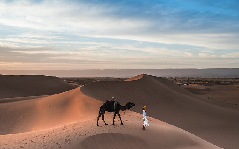 Arabian Desert- A Big Orange Sight